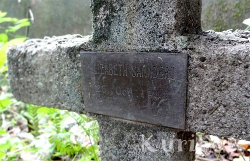 エリザベス・サンダースが三井家に雇われるまで: くりホンレビュー エリザベス・サンダースが三井家に雇われるまで: くりホンレビュー